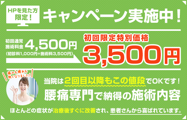 初回限定特別価格